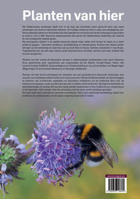 www.plantenvanhier.nl