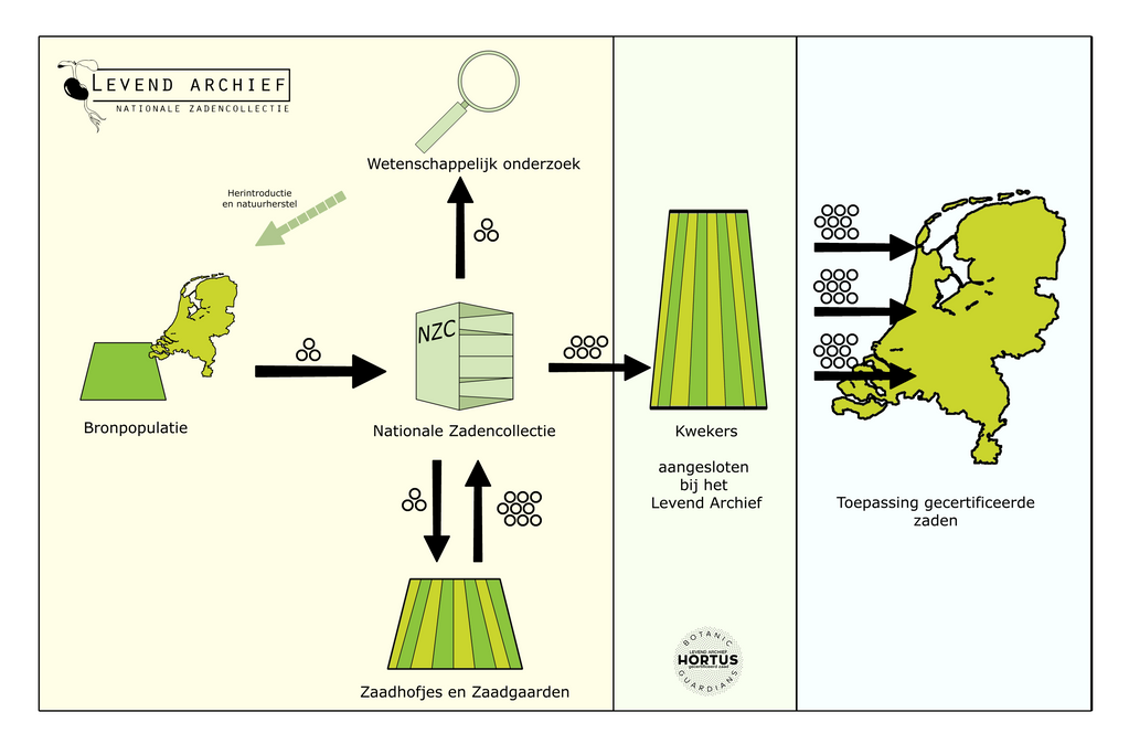 Schema werkwijze Het Levend Archief